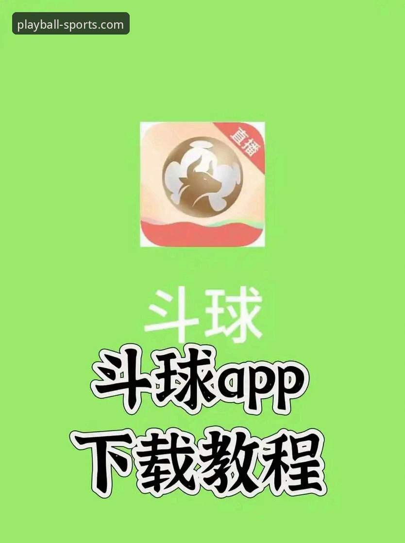 玩球体育平台专业体育应用详解